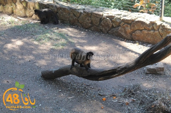 re7la 7eifa (71).JPG